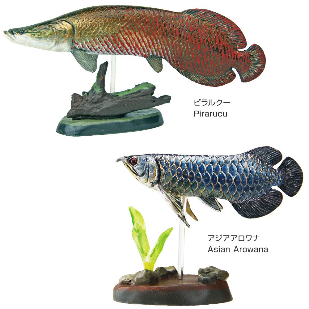 Mua カロラータ 古代魚 フィギュア 立体図鑑 (古代生物 / 7種